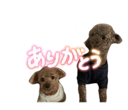 825046672