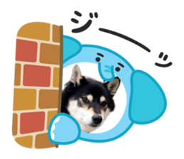 825052475