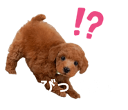 825066989