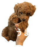 825066991