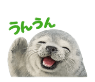825071056