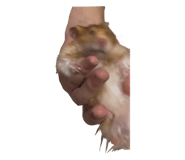 825083083
