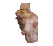 825083085