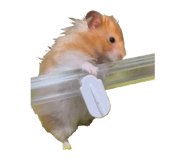 825083090