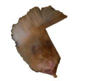 825083462