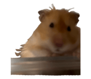 825083476