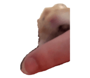 825083485