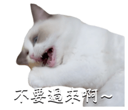 825084998