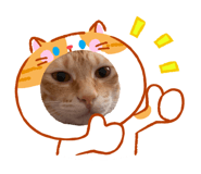 825091081