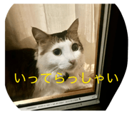 825091239