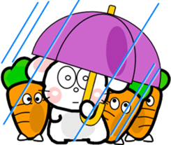 825102917