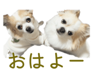 825135423