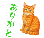 825156056