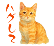 825156060