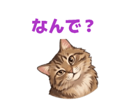 825171239