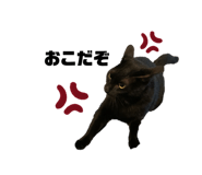 825215583