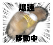 825215584