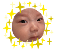 825220893