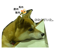 825221787