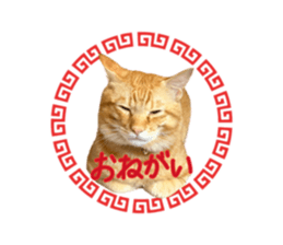 825223419