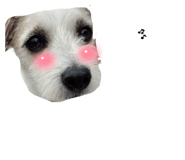 825232490