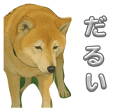 825236127