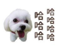 825255521