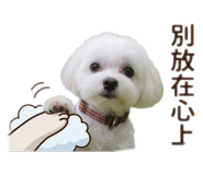 825255533