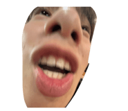 825277955