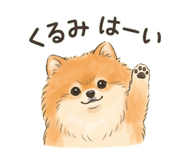 825342884