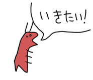 825343428