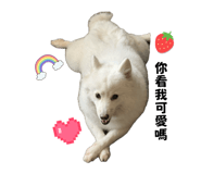 825343681