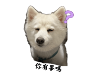 825343684