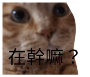 825343889