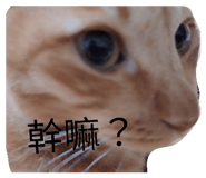 825343890