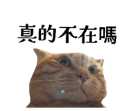825343895