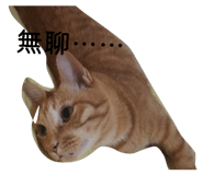 825343904
