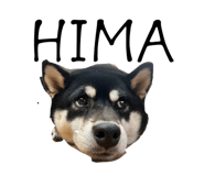 825346638