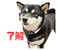 825346642