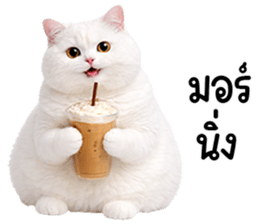 825346681