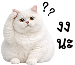825346699