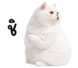 825346704