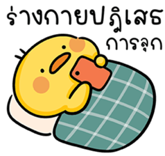 ลายที่ 3