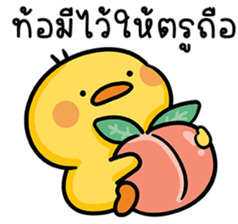 ลายที่ 11