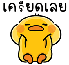 ลายที่ 13