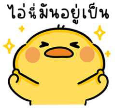 ลายที่ 31