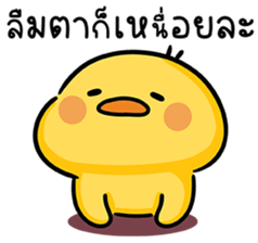 ลายที่ 43