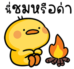 ลายที่ 51