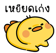 ลายที่ 65