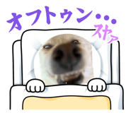825357866